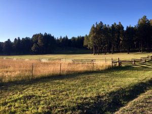 Ranch with fence